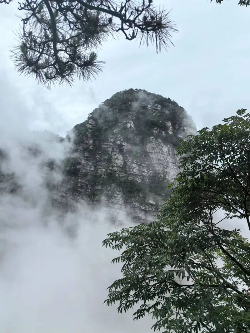 1721187129611164.jpg 2.jpg